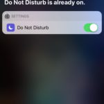 siri tricks